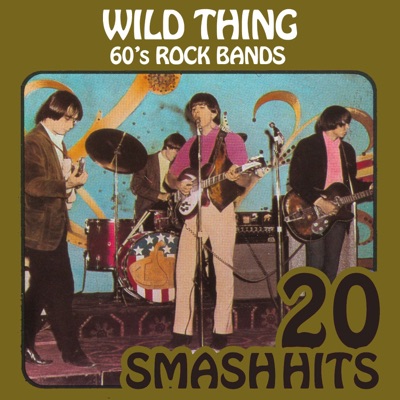 60's Rock Bands - Wild Thing (Rerecorded Version)