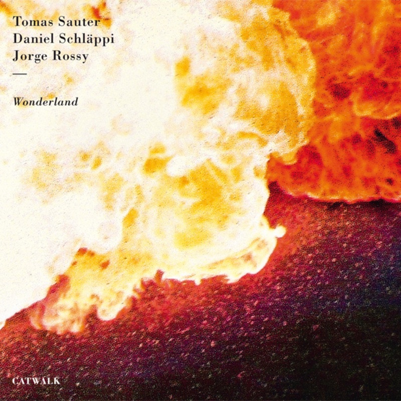 Обложка альбома «Wonderland» — Tomas Sauter, Daniel Schläppi & Jorge Rossy