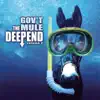 Gov't Mule - Hammer and Nails