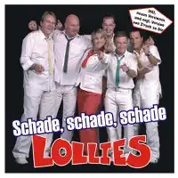 Schade, schade, schade (Album Karaoke Version)