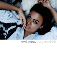 Amel Larrieux - Lucky to Be Me