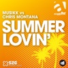 Summer Lovin (Chris Moody Mix) cover art