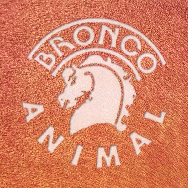 Todo Con Ella — Bronco