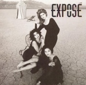 I'll Never Get Over You Getting Over Me by Exposé — cover art
