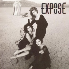 I'll Never Get Over You Getting Over Me by Exposé — cover art