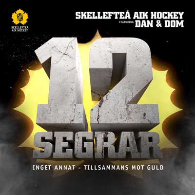 12 Segrar (feat. Dan & Dom) - Single