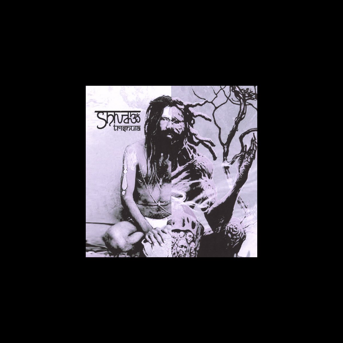 ‎Trishula - Album by Shivaz Project - Apple Music