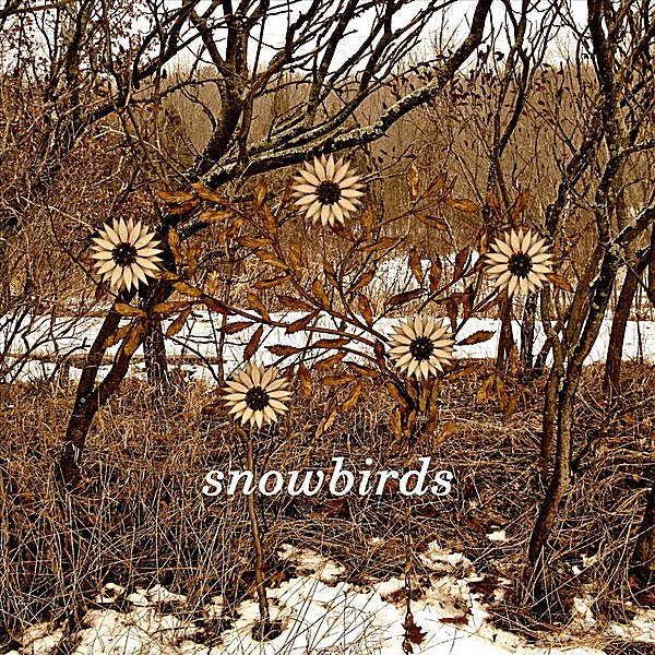 Snowbirds - First In Line
