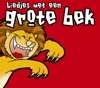 Liedjes Met Een Grote Bek, Vol. 4