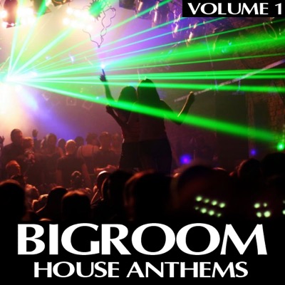Bigroom House Anthems, Vol. 1