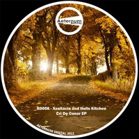 Cri De Coeur EP - Xzaltacia & Hells Kitchen