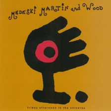 Chubb Sub by Medeski, Martin & Wood — cover art