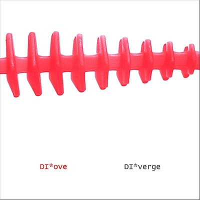 DI*verge