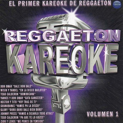 Pa Que Te Lo Gozes (Karaoke Version, Originally Performed By Tego Calderón) cover art