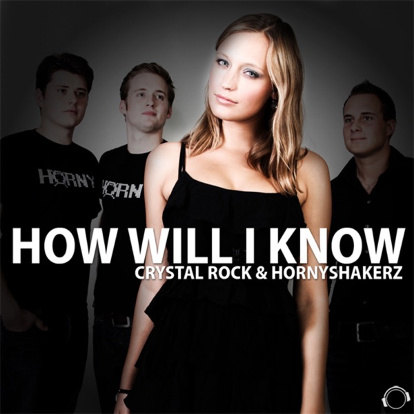 How Will I Know (Remixes) artwork