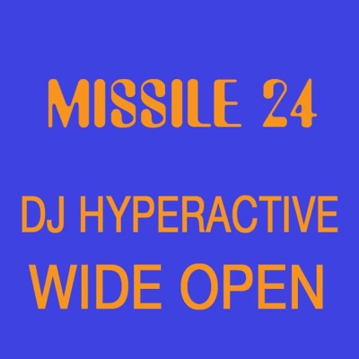 Wide Open (Original Mix)