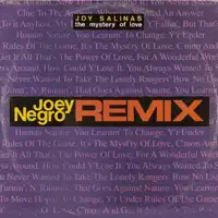 The Mystery Of Love (Joey Negro Club Mix) — Joy Salinas
