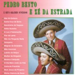 Pedro Bento e Zé da Estrada e Seus Grandes Sucessos