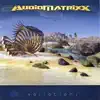 Audiomatrixx - Mattenklopfer