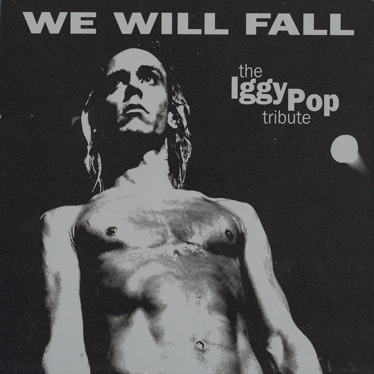 The Iggy Pop Tribute: We Will Fall - Various Artistsのアルバム - Apple Music