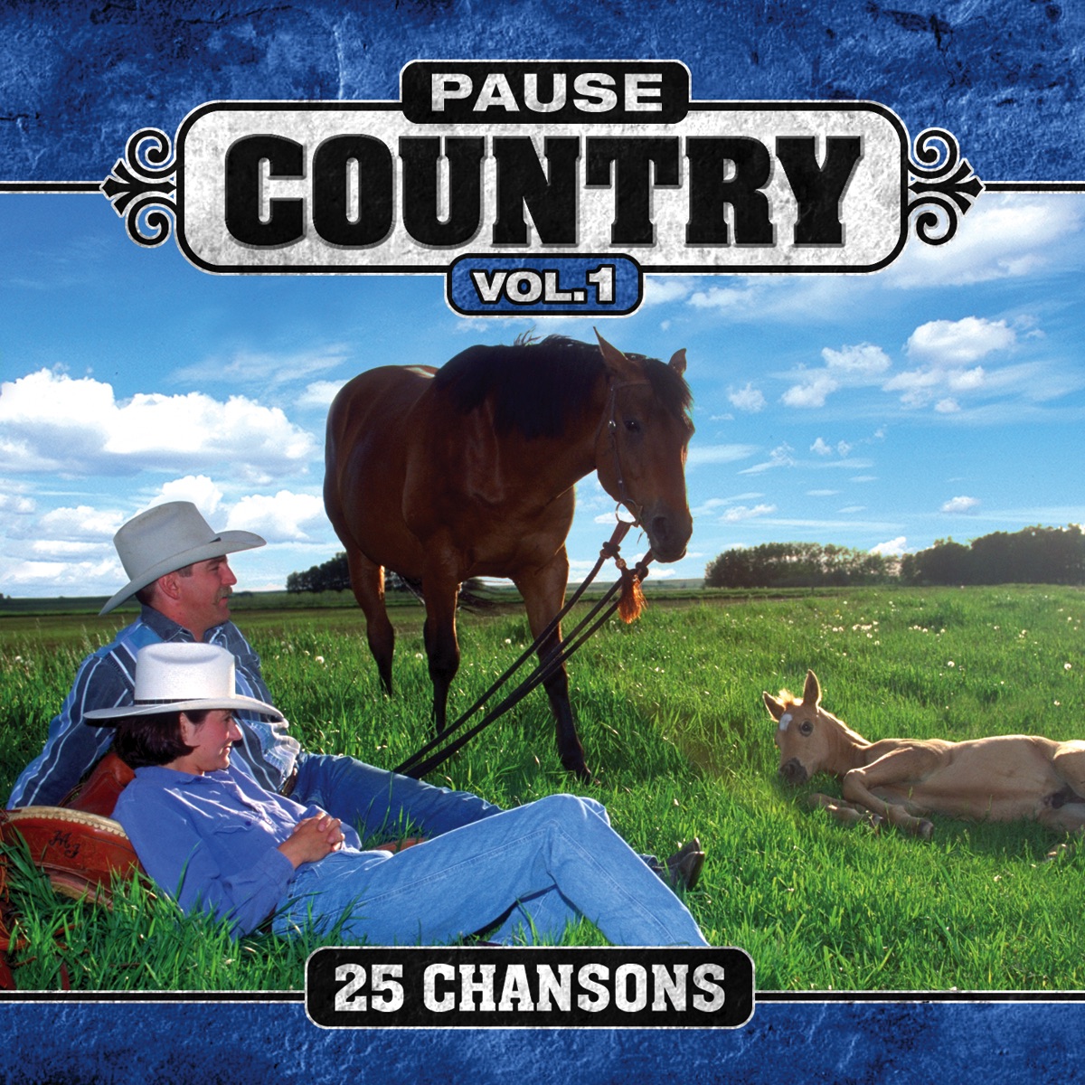 Pause Country (Vol. 1)