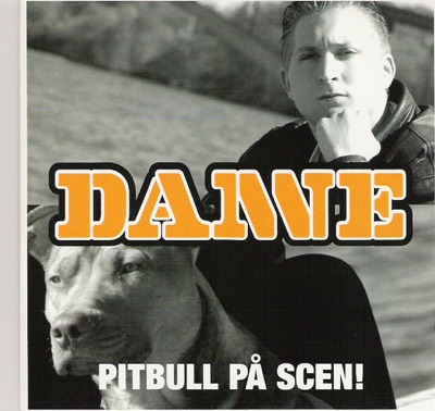 Pitbull På Scen