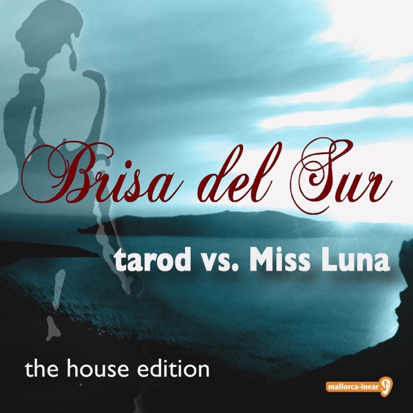 Brisa Del Sur - House Edition