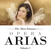 Mozart - the Magic Flute — Capella Istropolitana