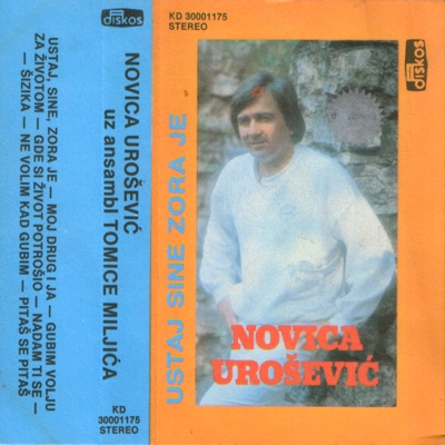 Song - Ustaj, Sine, Zoraje - Novica Urosevic