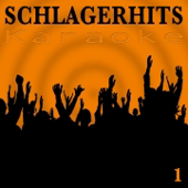 Du hast mich tausendmal belogen (Premium Karaoke Version) [Originally Performed By Andrea Berg]