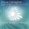 Shelter - Steve Callaghan lyrics