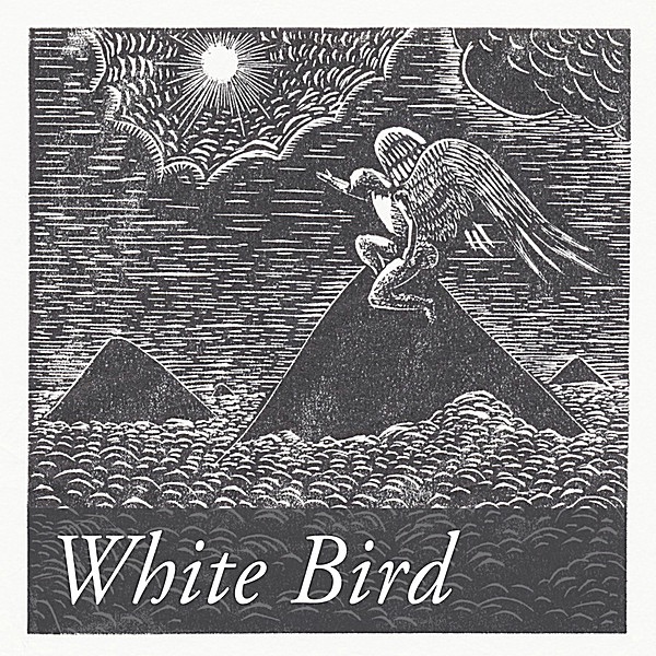 White Bird