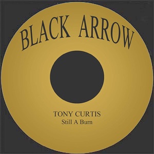 Still a Burn - Single
