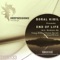 End of Life (Tolga Diler Remix) - Boral Kibil lyrics