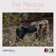 The Pleasure EP