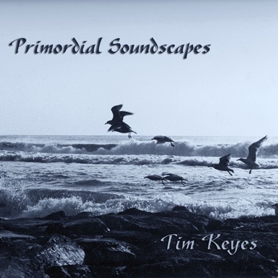 Primordial Soundscapes