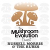 Mushroom Evolution Concert