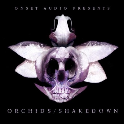 Orchids / Shakedown - Single