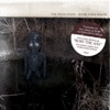 Sever Your Roots / Bury the Axe