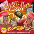 Koekoek Carnavals Partymix