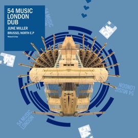 Shizgara (Original Mix) June Miller