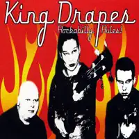 Cat On the Roof — King Drapes