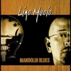 Mandolin Blues