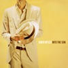 David Myles - The Bottom