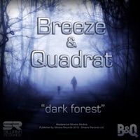 Dark Forest - Single - Breeze & Quadrat