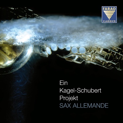 Ein Kagel-Schubert-Projekt
