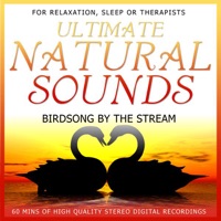 Ultimate Natural Sounds - Birdsong By the Stream - Niall