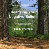 Cleansing Your Negative Beliefs (Guided Meditation from the Elementals)