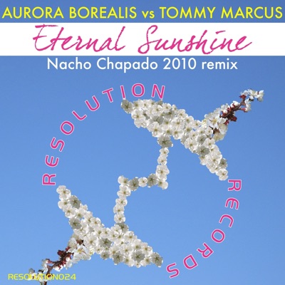 Eternal Sunshine (Nacho Chapado 2010 Remixes) - Single