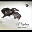 Nabby Nook - EP